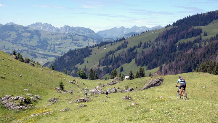 Top of Berner Oberland,  Stiereberg
