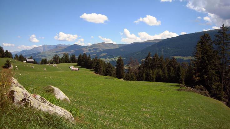 Top of Surselva,  Alp da Schlans
