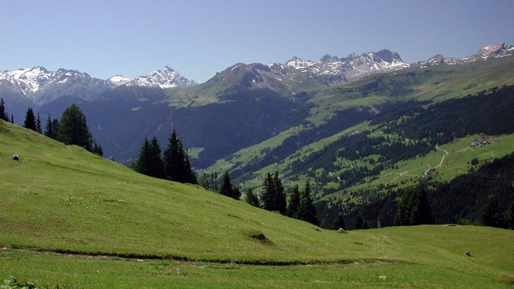Top of Val Schons, Nähe Obermutten
