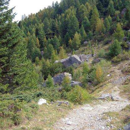 Top of Val Schons, Nähe Alp Anarosa